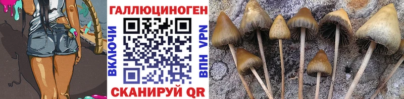 Галлюциногенные грибы GOLDEN TEACHER MEGA ONION Бердск наркота