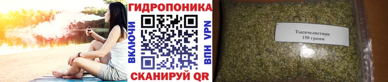 Марихуана сатива  МЕГА зеркало  Бердск 